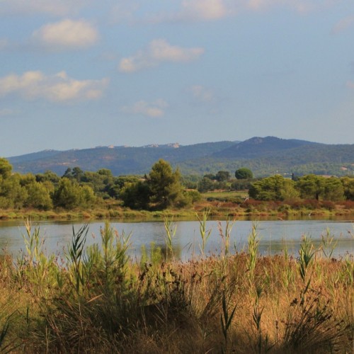 Toulon et les communes voisines participent à la Fête de la nature