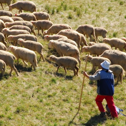 Bar des sciences : Quand la nature réinvente nos territoires