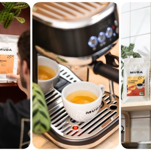 Lille : une table ronde autour du café de spécialité