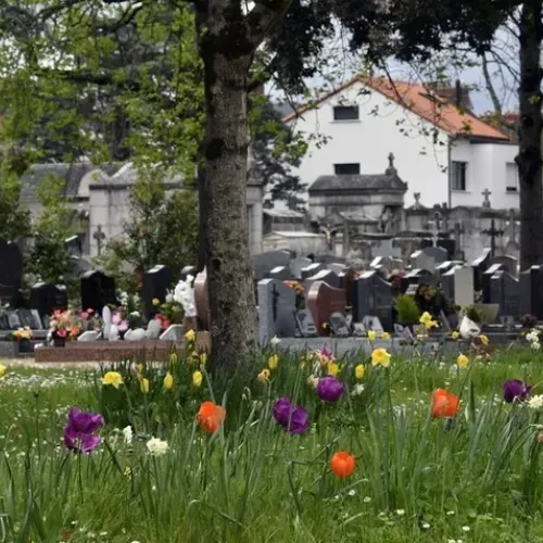 La métropole nantaise met son patrimoine funéraire à l'honneur
