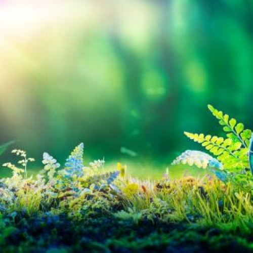 La tournée du climat et de la biodiversité fait étape à Nantes