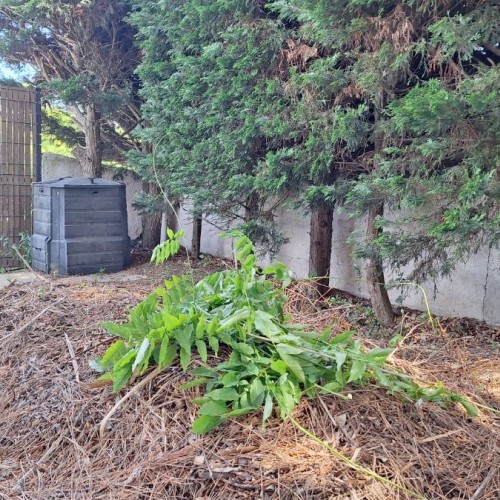 Mai au jardin