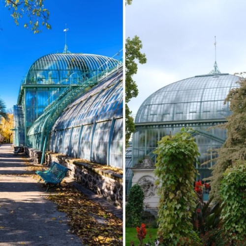 Situé à deux pas de Roland-Garros, que renferme le Jardin des Serres d'Auteuil ?