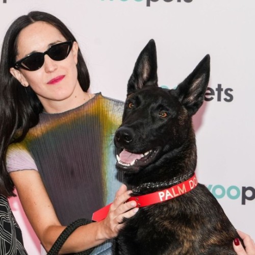 Festival de Cannes 2026 : la Palm Dog décernée à la chienne Yuri