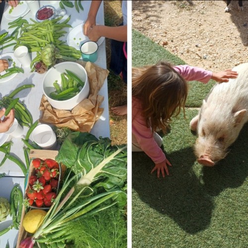 À Ollioules, un atelier à la ferme pour enfants curieux