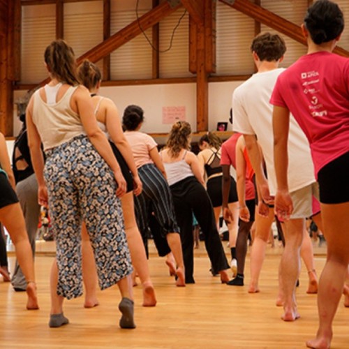 À l'INSA Lyon, les futurs ingénieurs sont aussi des danseurs