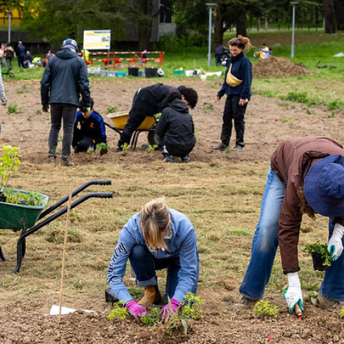 Découvrir la ferme des Dervallières à Nantes