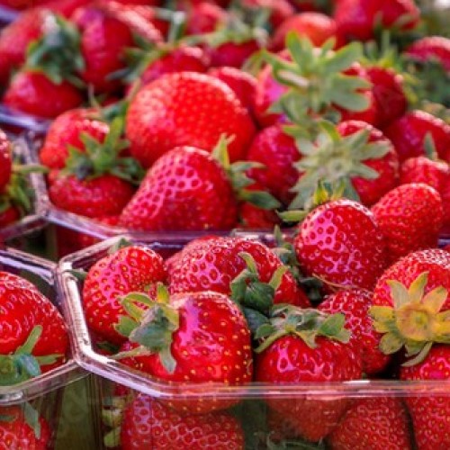 Cueillir ses fraises