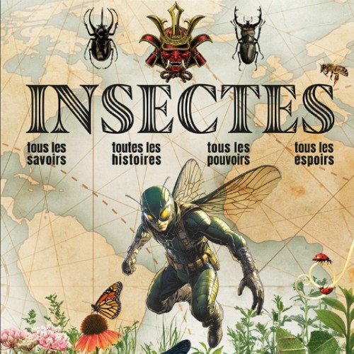 L’entretien : Nicolas Césard décrypte notre rapport aux insectes