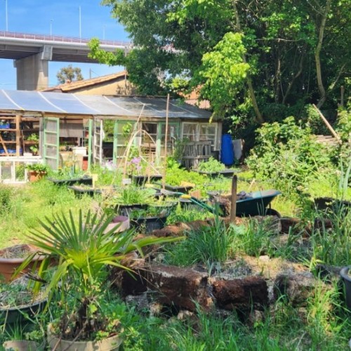 Bordeaux : un marché pour se reconnecter à la nature