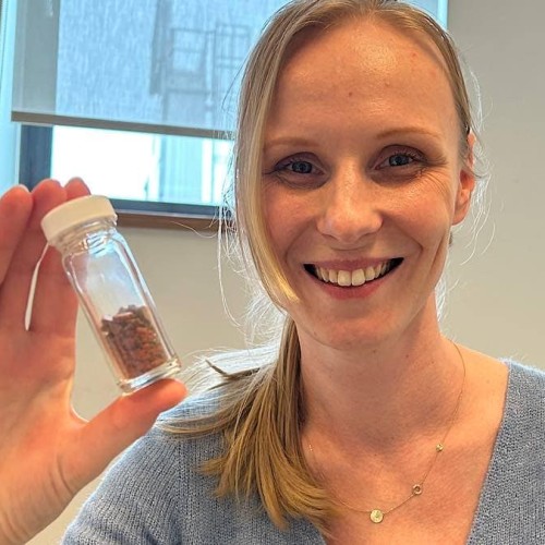 Oligofeed, la start-up lyonnaise qui veut aider les abeilles à survivre