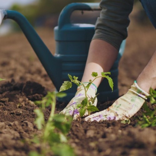 Grenoble : Nature et soin au jardin