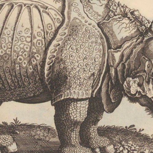 Grenoble : De l'histoire naturelle en 30 minutes