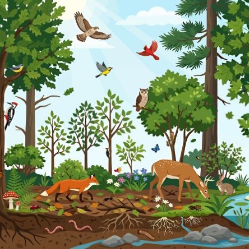 La nature se fête dans la métropole nantaise