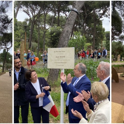 390 arbres plantés en centre-ville à Toulon