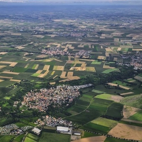 Le paléoenvironnement strasbourgeois décrypté