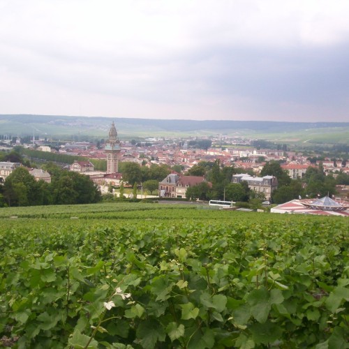 Épernay obtient le label « Ville d'art et d'histoire »