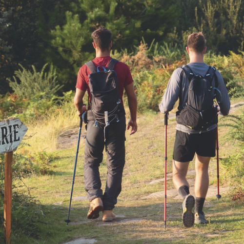 Bretagne : un guide de randonnée autour des cidreries