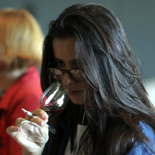 Randos Vin en Méditerranée, les vins du Sud au rythme de la marche