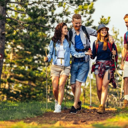 Ayez le bon réflexe avant votre sortie en forêt