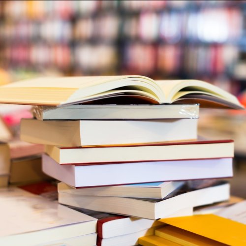 Près de Bordeaux, une médiathèque recycle des livres en matière isolante