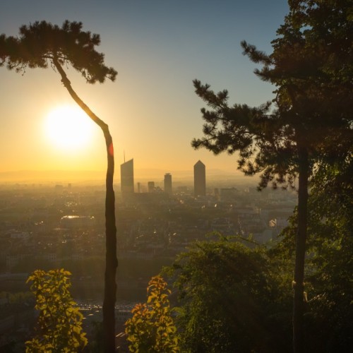 Une réunion pour survivre à la chaleur cet été à Lyon