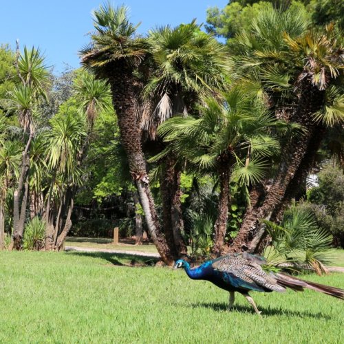 Tous aux jardins à Toulon et aux alentours