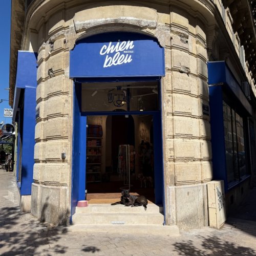 Tout, tout pour les chiens à Marseille