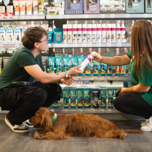 Rennes : une nouvelle animalerie au concept urbain ouvre en centre-ville