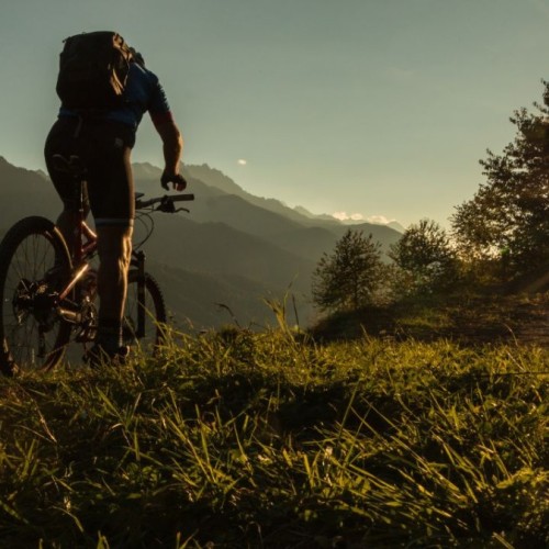 Grenoble : Le vélo s’invite au cinéma