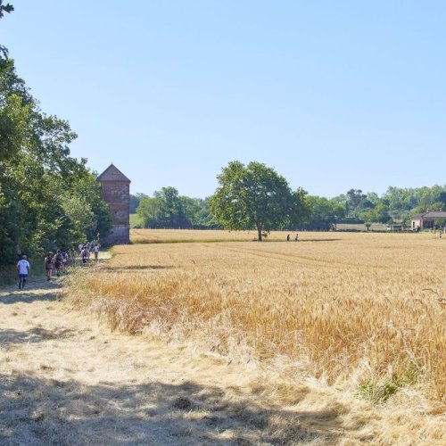 La course à pied sous toutes ses formes