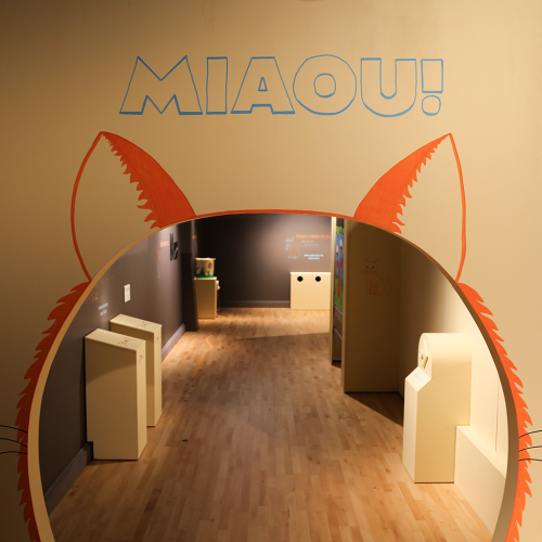 Début de l'exposition « Miaou ! » au Muséum de Bordeaux