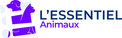 l'Essentiel animaux