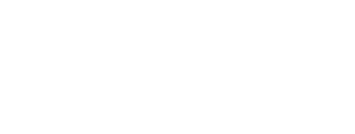 l'Essentiel Nice